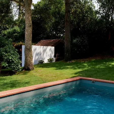 Ortensa Pres Du D'hossegor Avec Piscine *